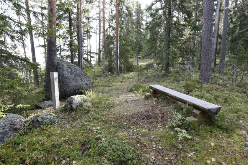 Hirrestä tehty penkki metsän keskellä.