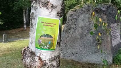 Koivu, jonka runkoon on kiinnitetty opaste.