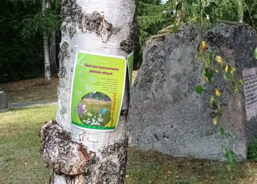 Koivu, jonka runkoon on kiinnitetty opaste.